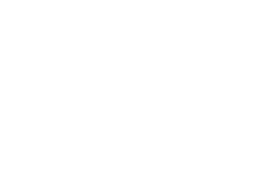 Lucky Pick Storage logo